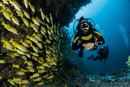 Liveaboard / surf camp